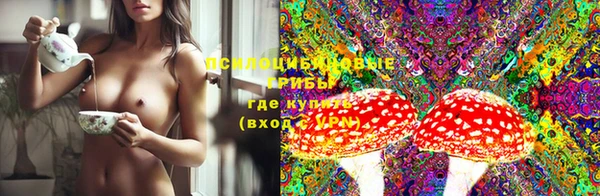 прущая мука Арсеньев