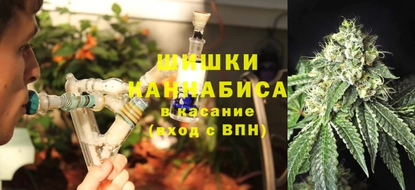 прущая мука Арсеньев