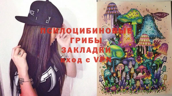 прущая мука Арсеньев