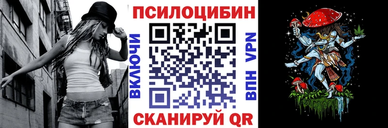 закладка  Родники  Псилоцибиновые грибы GOLDEN TEACHER 